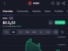 BOBO Memecoin Explodes Over 2,600% in a Week as Market Revival Sparks Speculation BOBO Memecoin Explodes Over 2,600% in a Week as Market Revival Sparks Speculation