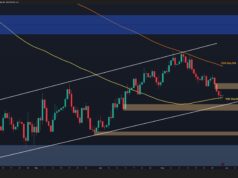BTC Eyes $70K-$72K Support Amid Market Weakness btc_price_chart_3105261