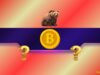 Bitcoin Price Falls Below Its Most Important Support, What Does it Mean?
