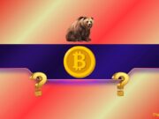 Bitcoin Price Falls Below Its Most Important Support, What Does it Mean?