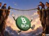Bitcoin Cash drops 12% as whales sell: Is BCH headed to $305? Bitcoin Cash drops 12% as whales sell: Is BCH headed to $305?