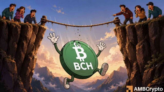 Bitcoin Cash drops 12% as whales sell: Is BCH headed to $305?