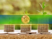 Bitcoin Investors Took More Profit as BTC Rallied to 3-Month High: CQ Bitcoin Investors Took More Profit as BTC Rallied to 3-Month High: CQ