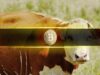 Bitcoin Market Structure Continues to Improve as Bullish Undertones Build: Glassnode Bitcoin Market Structure Continues to Improve as Bullish Undertones Build: Glassnode