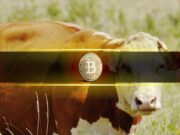 Bitcoin Market Structure Continues to Improve as Bullish Undertones Build: Glassnode Bitcoin Market Structure Continues to Improve as Bullish Undertones Build: Glassnode