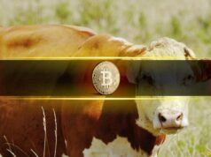 Bitcoin Market Structure Continues to Improve as Bullish Undertones Build: Glassnode Bitcoin Market Structure Continues to Improve as Bullish Undertones Build: Glassnode