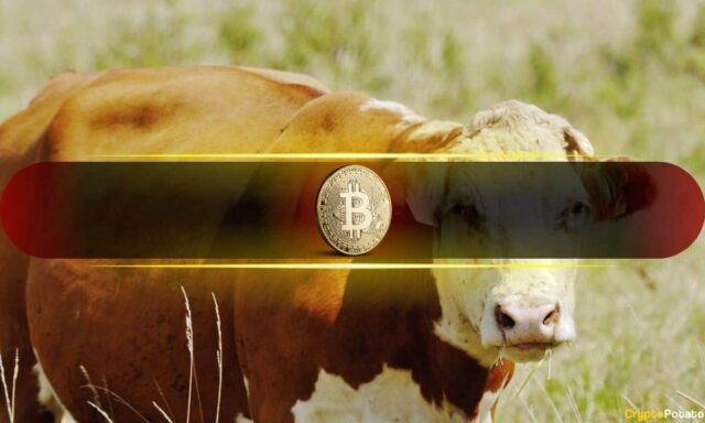 Bitcoin Market Structure Continues to Improve as Bullish Undertones Build: Glassnode