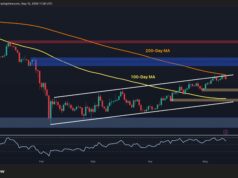 Bitcoin Price Analysis: BTC Maintains Key Support Levels, Will the Rebound Continue? Bitcoin Price Analysis: BTC Maintains Key Support Levels, Will the Rebound Continue?