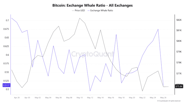 Bitcoin exchange whale ratio