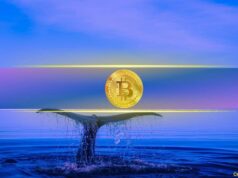 Bitcoin’s Biggest Holders Are Accumulating Again: What Are Whales Preparing For? Bitcoin’s Biggest Holders Are Accumulating Again: What Are Whales Preparing For?