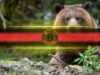Bitcoin’s Key Resistance Stall Could Send it Tumbling Much Lower: Analysts Bitcoin’s Key Resistance Stall Could Send it Tumbling Much Lower: Analysts