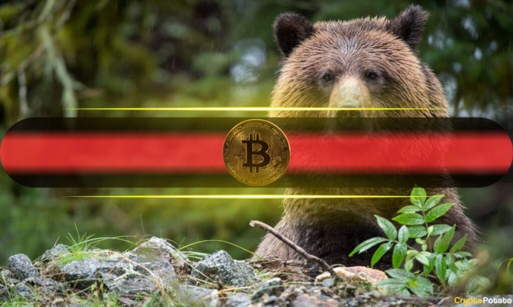 Bitcoin’s Key Resistance Stall Could Send it Tumbling Much Lower: Analysts