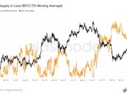 Bitcoin’s underwater supply hits 8.33 mln BTC – Will $73K hold the line? Bitcoin’s underwater supply hits 8.33 mln BTC - Will $73K hold the line?