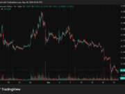 Breaking Pi Network News: New Update Delayed as PI Price Recovery Stalls Pi Network (PI) Price on CoinGecko