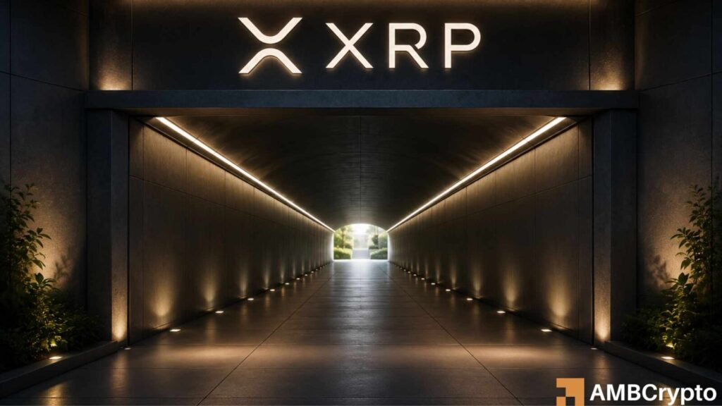 Can XRP's price recover as whale holdings surge to an 8-year high?