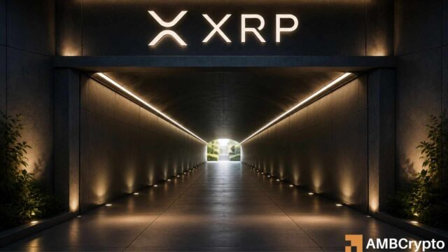 Can XRP's price recover as whale holdings surge to an 8-year high?