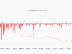 Cardano (ADA) Price Predictions: Final Dip Before Pump or a Slide Into Freefall? ADA Exchange Netflow