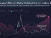 Cardano flashes 2020-style whale signal, yet ADA drifts lower – Why? Cardano ADA