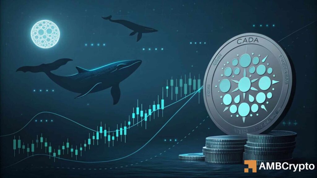 Cardano's long-term structure is changing - How whales played a part