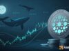 Cardano’s long-term structure is changing – How whales played a part Cardano's long-term structure is changing - How whales played a part