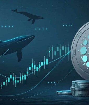 Cardano’s long-term structure is changing – How whales played a part Cardano's long-term structure is changing - How whales played a part
