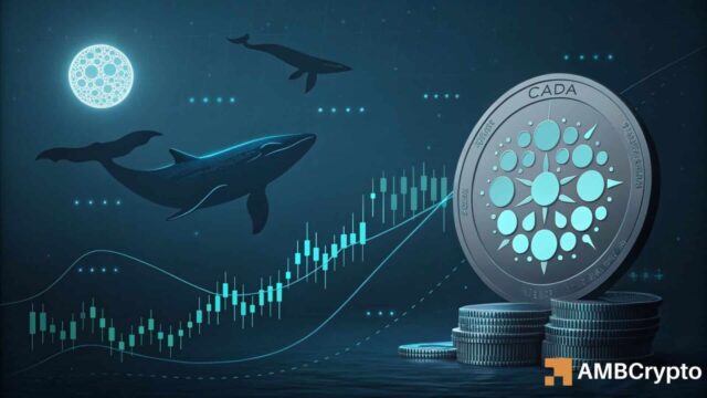 Cardano's long-term structure is changing - How whales played a part