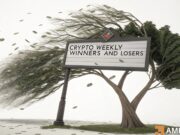 Crypto market’s weekly winners and losers – KITE, INJ, TON, PENGU crypto market weekly winner loser