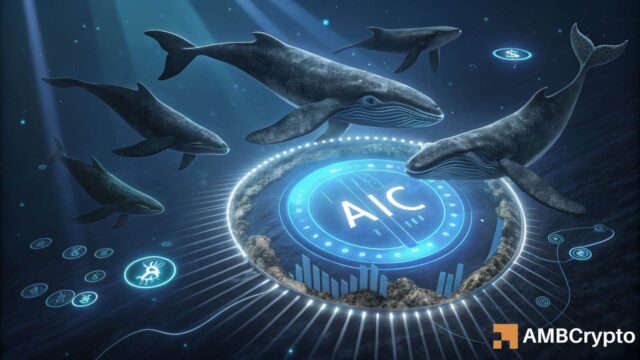 AI Companions Jumps 37% as Whale Holdings Surge to 55% of Supply