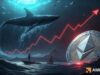 Ethereum sees $246mln in liquidations – Can ETH hold $2015 support? Ethereum sees $246mln in liquidations – Can ETH hold $2015 support?
