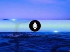 Ethereum’s Largest Wallets Now Control Over 22% of Supply Amid Fresh Accumulation Wave Ethereum's Largest Wallets Now Control Over 22% of Supply Amid Fresh Accumulation Wave