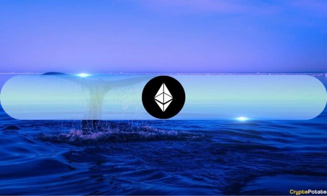Ethereum's Largest Wallets Now Control Over 22% of Supply Amid Fresh Accumulation Wave