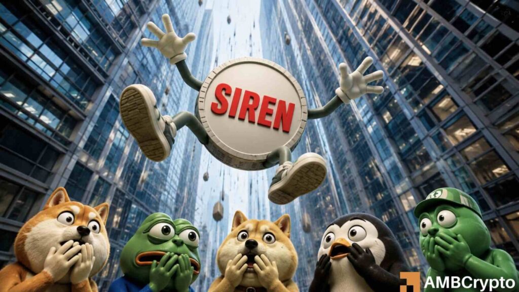 Here's why SIREN is likely to fall again after its latest 56% price crash