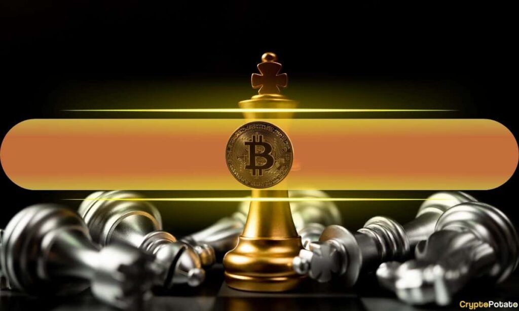 How Bitcoin Outperformed ETH, XRP, BNB, and SOL During 2025-2026 Market Stress