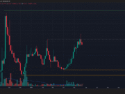 Humanity Protocol token sheds 13% in a day to challenge local support zone: What’s next? H 3-day Chart