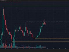 Humanity Protocol token sheds 13% in a day to challenge local support zone: What’s next? H 3-day Chart