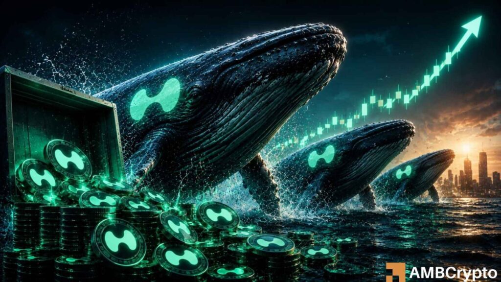 Hyperliquid Whales Accumulate 205,691 HYPE Worth $9M: What About Price?