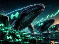 Hyperliquid: Can $9.57M whale buy push HYPE price above $50? Hyperliquid Whales Accumulate 205,691 HYPE Worth $9M: What About Price?