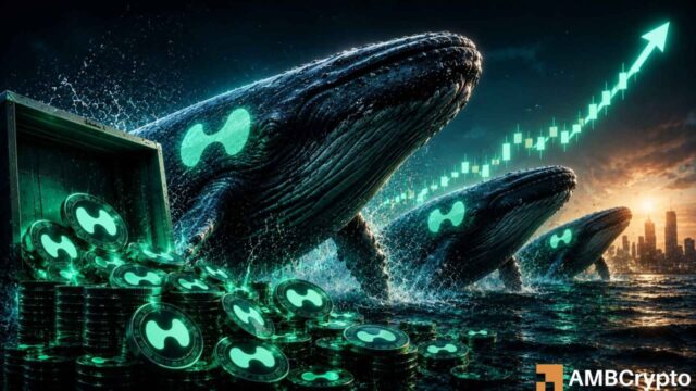 Hyperliquid Whales Accumulate 205,691 HYPE Worth $9M: What About Price?
