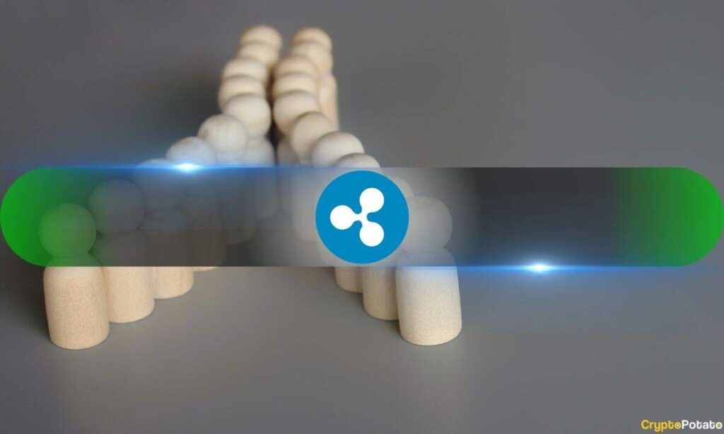 Key XRP Metrics Signal Bullish Shift After Weeks of Heavy Sell-Offs