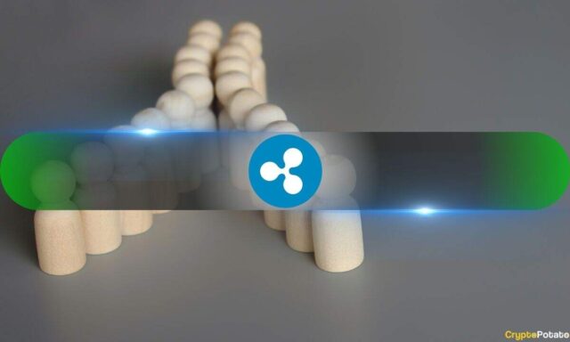 Key XRP Metrics Signal Bullish Shift After Weeks of Heavy Sell-Offs