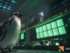 PENGU reclaims $0.010 as whale buys 52.9M tokens – Breakout ahead? PENGU whale with 100% win rate accumulates $450K: Is a breakout near?