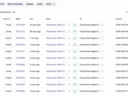 Polymarket’s $700K exploit targets USDC, POL – Are user funds safe? PolymarketPolygon POL