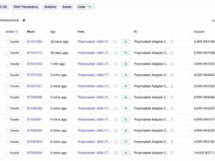 Polymarket’s $700K exploit targets USDC, POL – Are user funds safe? PolymarketPolygon POL
