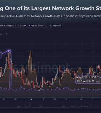 Ripple sees 4,300 new wallets: Will this fuel XRP’s biggest move yet? XRP