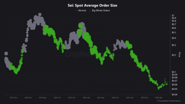 SEI jumps 15% - Assessing if rising whale activity could SEI Average Order Size