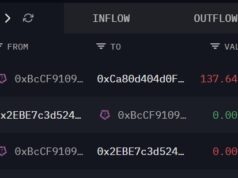SKY whale moves 137 mln tokens: Is a sell-off coming as price struggles near $0.060? Dragonfly SKY transfer