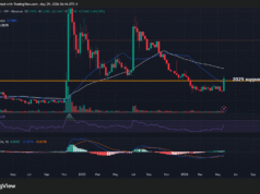 Stellar’s DTCC partnership sparks 44% XLM rally — What’s next? Stellar XLM