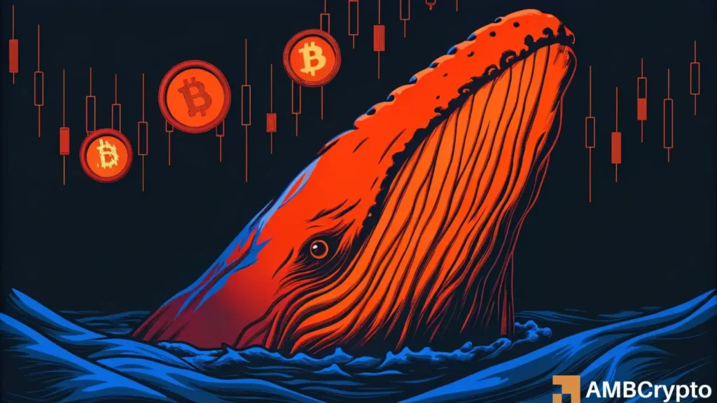 The next big move? Bitcoin momentum flips positive as dormant whale moves $40M after 13 years!