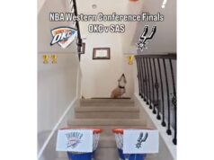 Thunder-Spurs Game 7 prediction from the corgi who picked every game of the series correctly so far Thunder-Spurs Game 7 prediction from the corgi who picked every game of the series correctly so far