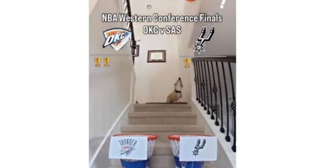Thunder-Spurs Game 7 prediction from the corgi who picked every game of the series correctly so far